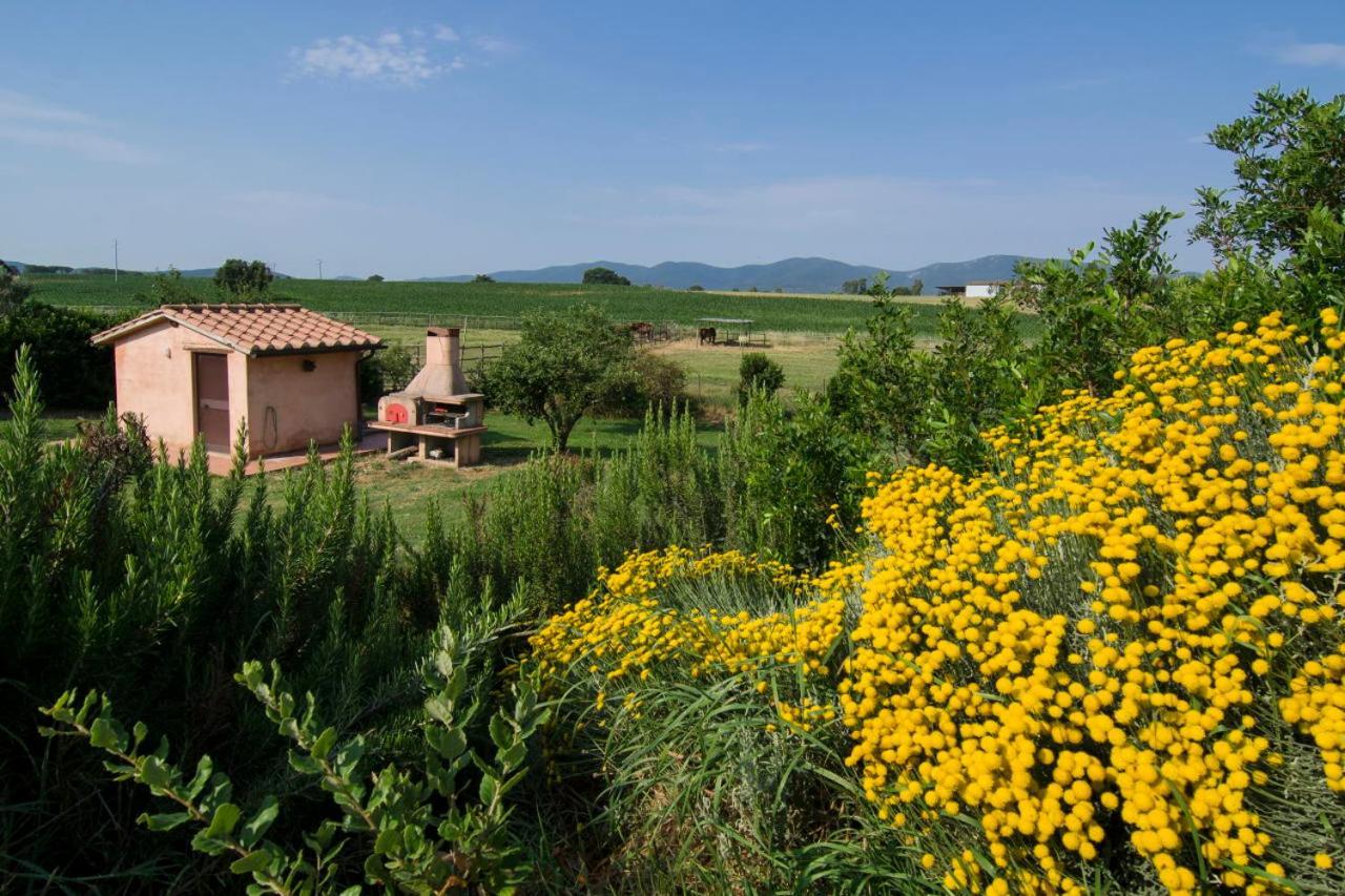 Villa Bio Agriturismo Il Melograno Di Banditella Alberese Exterior foto